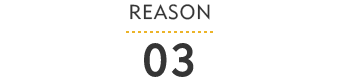REASON 03